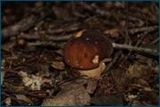0_d2af2_82eb2001_orig.jpg
