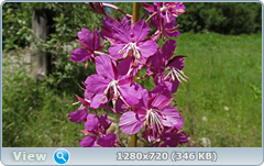 0_e745e_d61bea71_orig.png