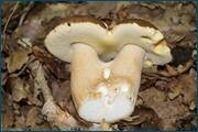 0_d253d_69d84f17_orig.jpg