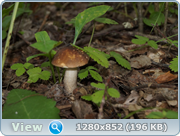 0_d4c16_935998c0_orig.png