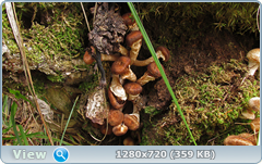 0_ef6b7_c987825d_orig.png