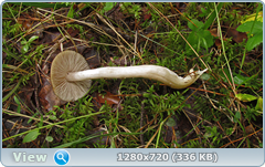 0_112b3b_6684d549_orig.png