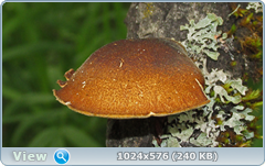 0_e782b_c730dea7_orig.png