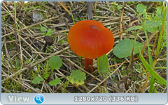 0_eab7f_238d4fc7_orig.png