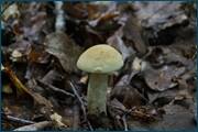 0_d2a48_74c47bc2_orig.jpg