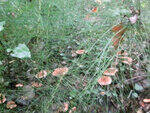0_7057e_89624585_S.jpg