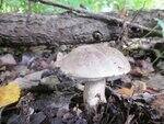 0_70713_26eb736d_S.jpg