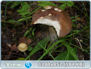 0_d4bb8_a91e7574_orig.png