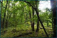 0_cf436_806b4a61_orig.jpg