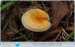 0_eb011_e803e5de_orig.png