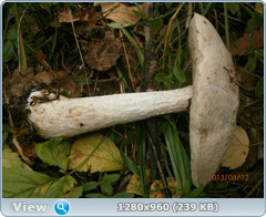0_eb6f6_2bc5d179_orig.png