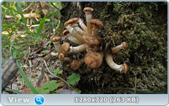 0_ef3ba_da864a29_orig.png