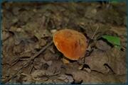 0_d32a2_a521b411_orig.jpg