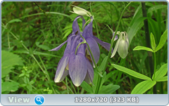 0_e6a3a_65e23076_orig.png