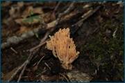 0_d2b04_e6cf7363_orig.jpg