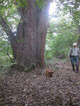 0_6ee11_179d14c0_S.jpg