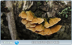 0_112216_d4478297_orig.png