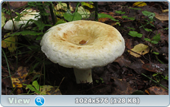0_11fcb8_8c739005_orig.png
