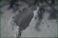 0_dfbfb_8077718d_orig.png