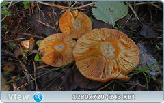 0_fba02_e75eb151_orig.png