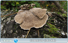 0_fc658_bbe54be_orig.png