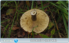 0_11fcc1_512bf712_orig.png