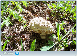 0_102c08_c92ea9f5_orig.png