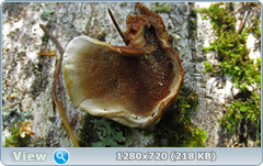 0_fc4a1_d26dee99_orig.png