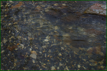 0_e00d5_3cb40deb_orig.png