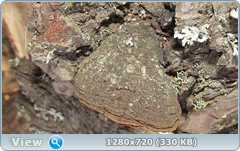 0_fc3ab_6b2a1a52_orig.png