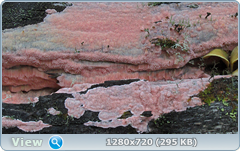 0_fc460_b4f0a00c_orig.png