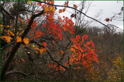 0_db202_b563a0bc_orig.png