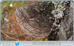 0_fc642_67a7cc5_orig.png