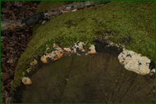 0_e0853_99cf93ea_orig.png