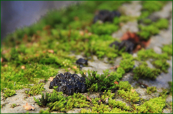 0_116234_bb3ab514_orig.png