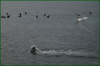 0_dde81_1ba080e7_orig.png