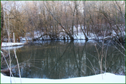 0_11a0b5_4c76a33d_orig.png