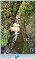 0_102bcc_529cf1aa_orig.png