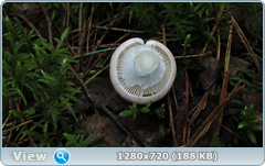 0_fbe79_e255ceab_orig.png