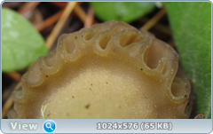 0_fb6a8_2c05d272_orig.png