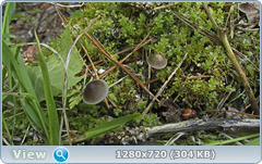 0_fbf24_d5fc3200_orig.png