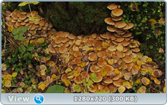 0_fc789_7d5f9b58_orig.png