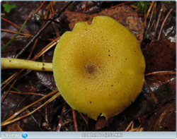 0_ff508_fc736a63_orig.png