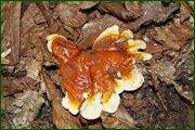 0_c12d1_bfe5969_orig.jpg