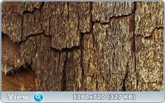 0_f6e38_4d484830_orig.png