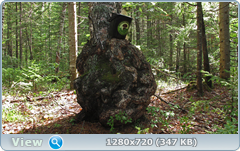 0_e6d23_877751af_orig.png