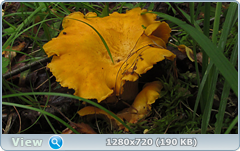 0_ead18_6d6499d0_orig.png