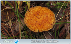 0_f3e46_65e8b35b_orig.png