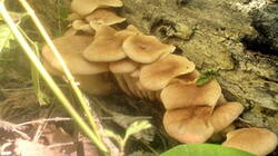 0_94b0b_7e56503f_M.jpg