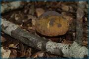 0_d2b08_c1286089_orig.jpg